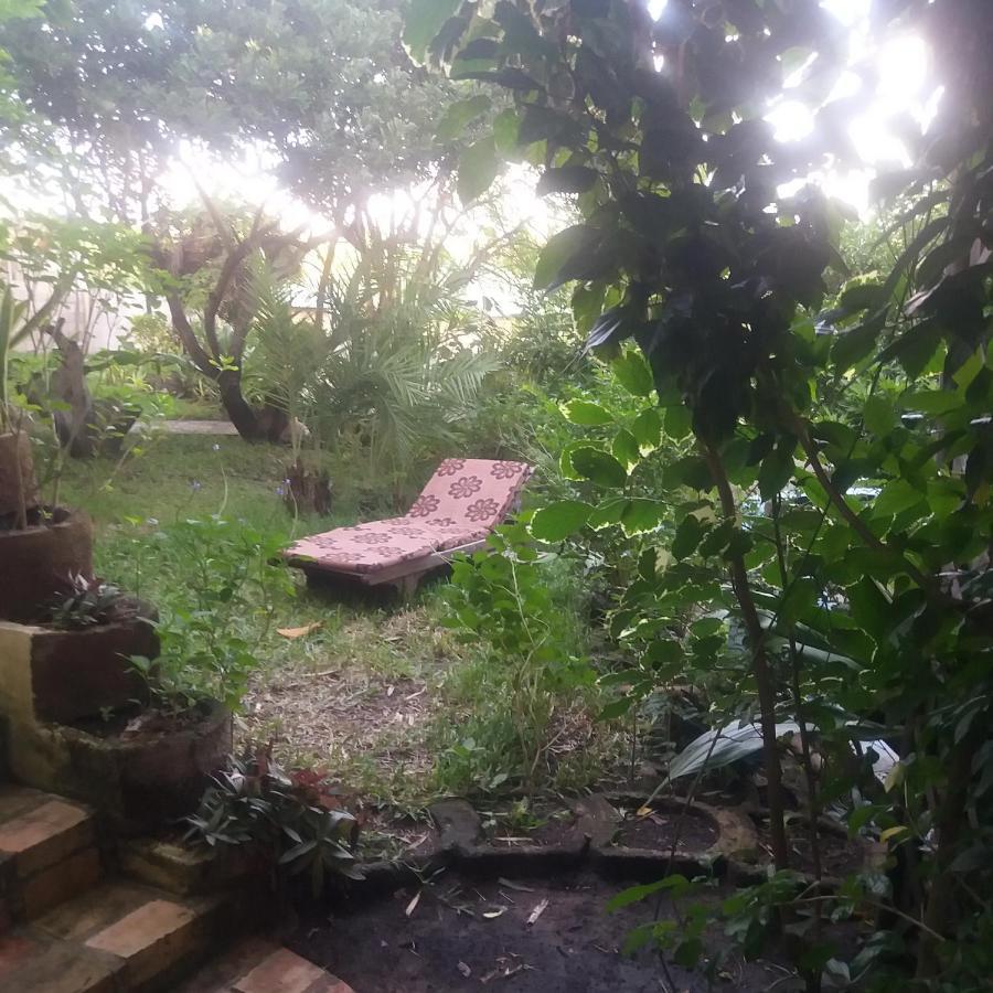 מלון Praia do Tofo Casa Camaleao Gekko Cottadge מראה חיצוני תמונה